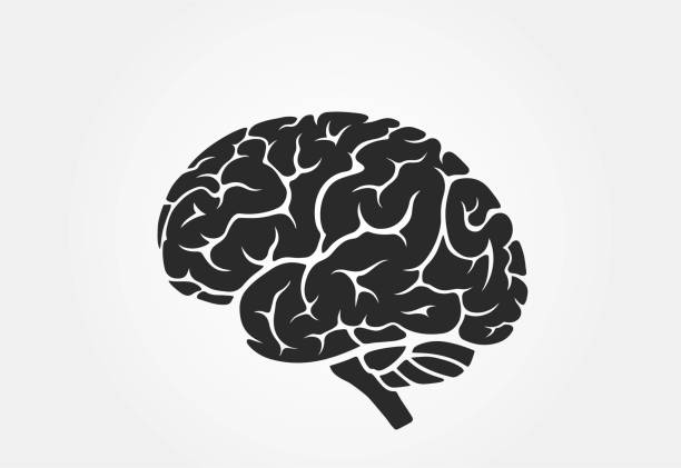 Central Nervous System
