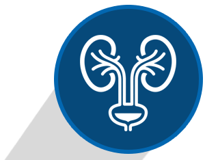 Urology