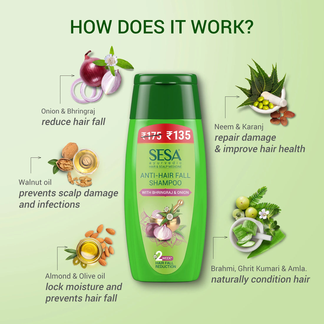 SESA Ayurvedic Onion Hair Oil for Hair Growth and Prevents Hairfall Hair Oil (100 ml) with FREE SESA Anti Hair Fall Shampoo