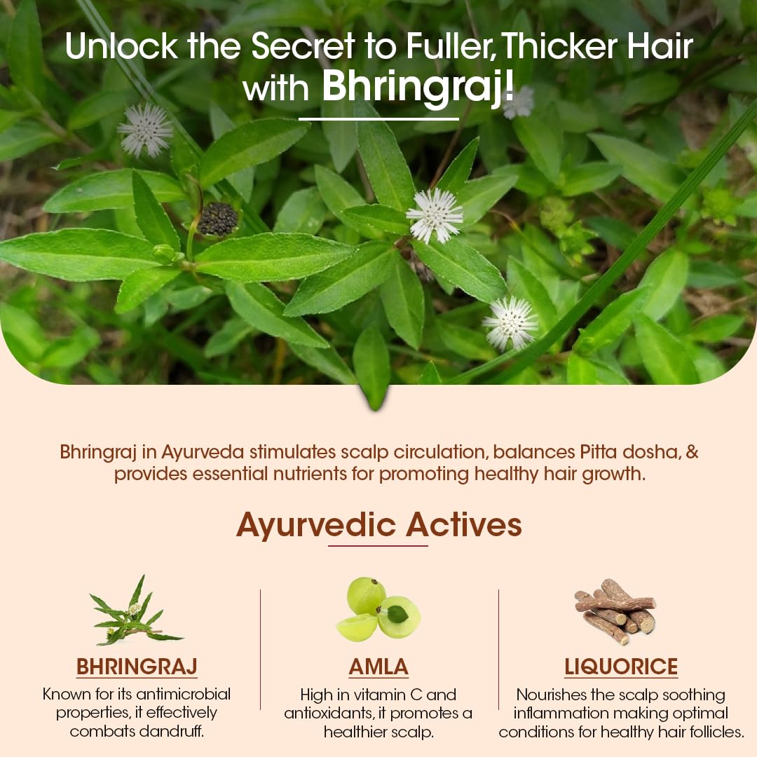 T.A.C Bhringabali Hair Oil - Nourishing Hair Growth Oil for Men and Women, Hair Loss & Regrowth Treatment - 100ml