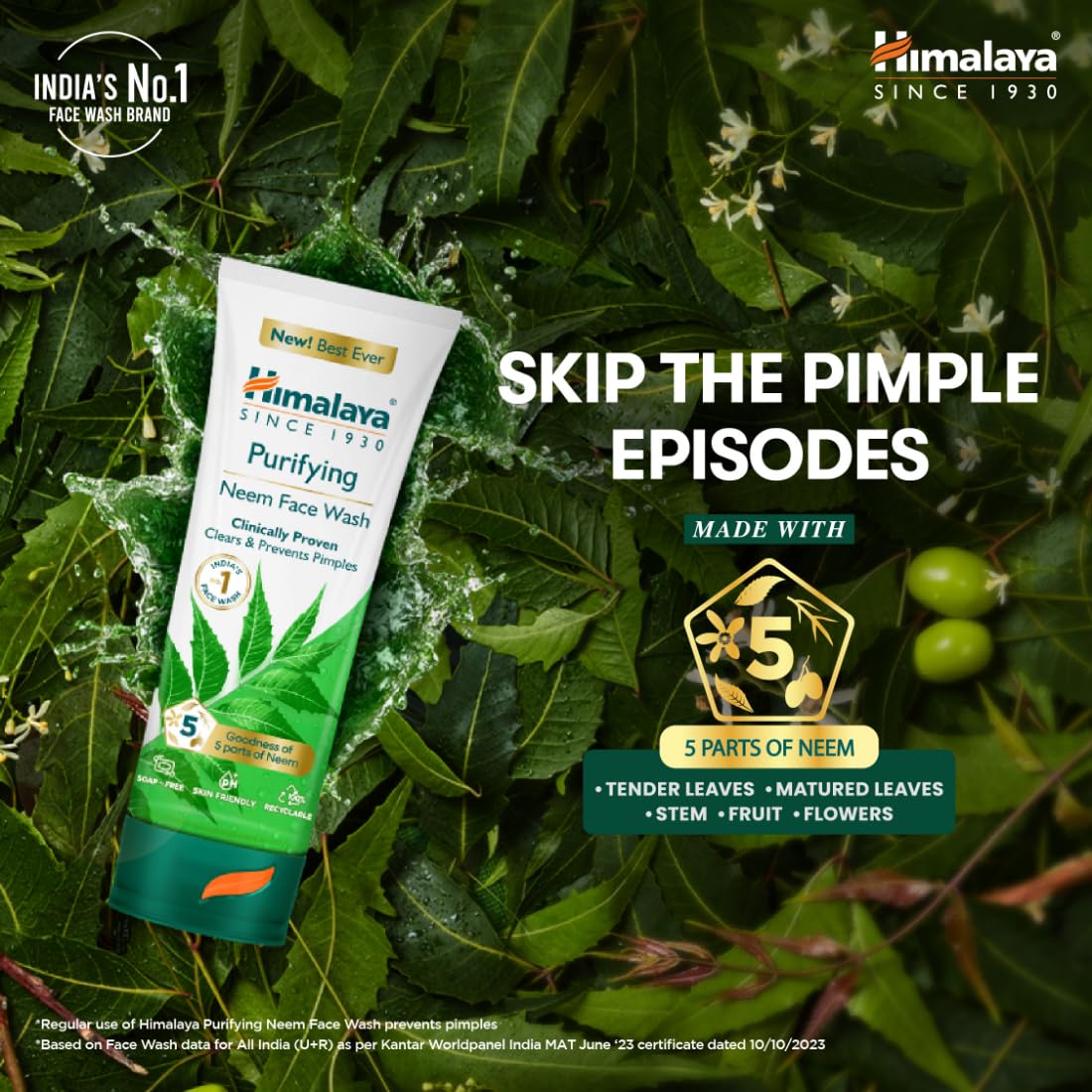 Himalaya Purifying Neem Face Wash (400ml)