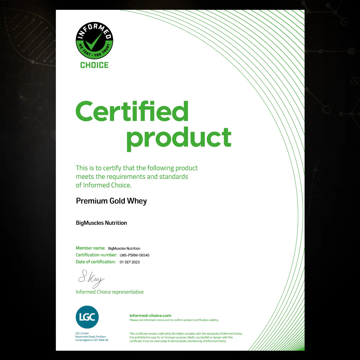 Big Muscles Premium Gold Whey Protein – Belgian Chocolate (1 kg)