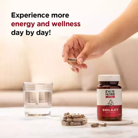 Shilajit Capsule 500 mg