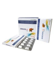 L Ornithine-L-Aspartate, Silymarin, Vitamin B Complex