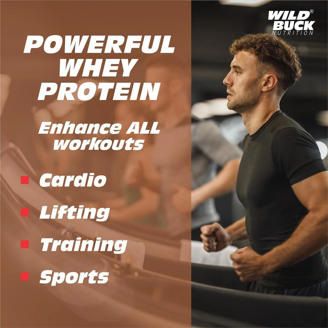 WILD BUCK Premier Whey Protein | High Protein, Amino Acids & Digestive Enzymes | 1kg | Caffe Mocha, Caramel Chocolate & Strawberry Mango